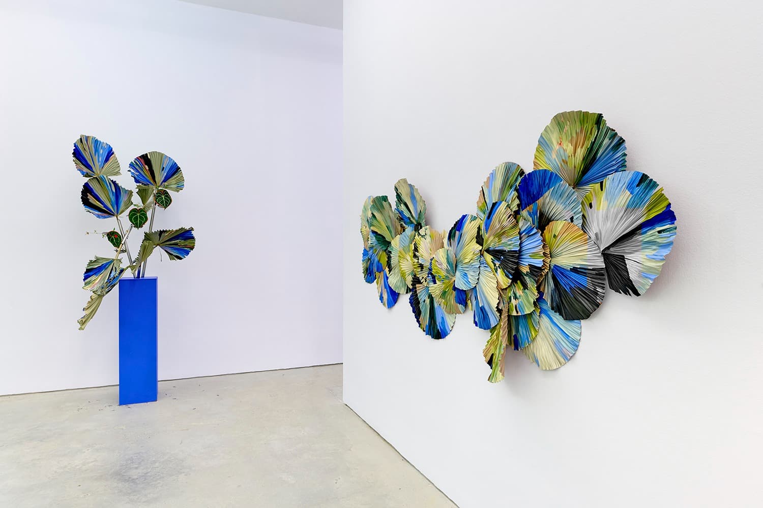 Installation view