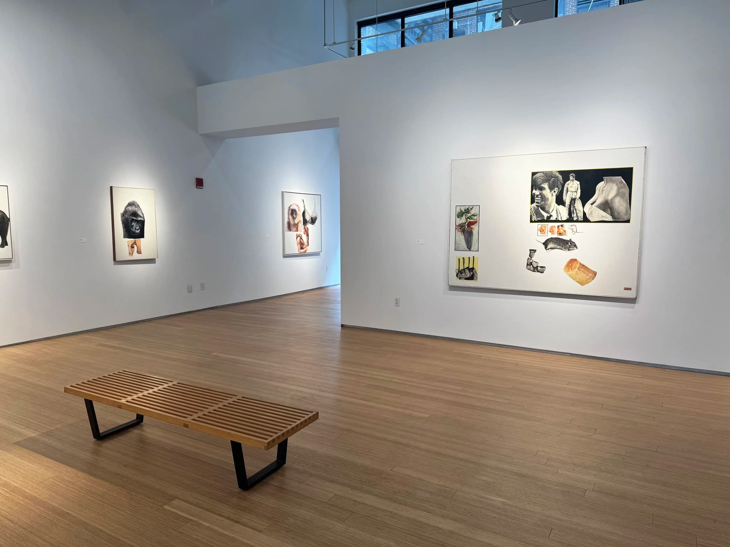 Installation view 15 of 15