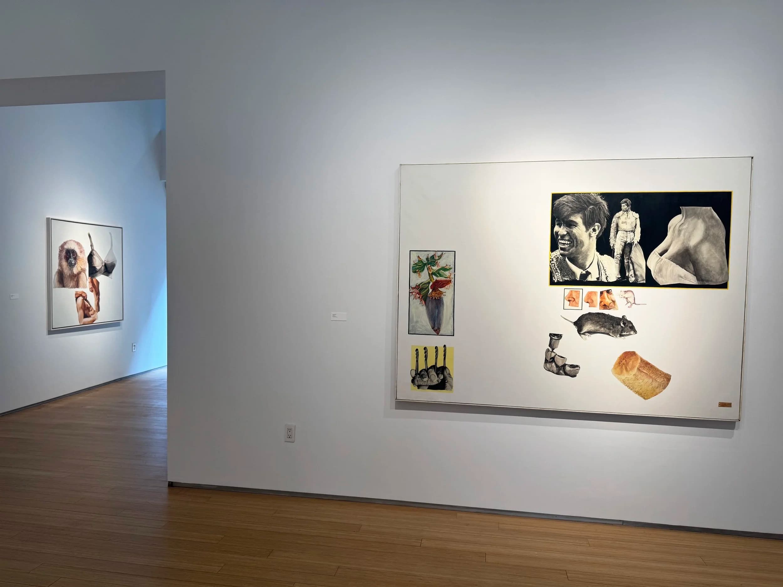 Installation view 1 of 15