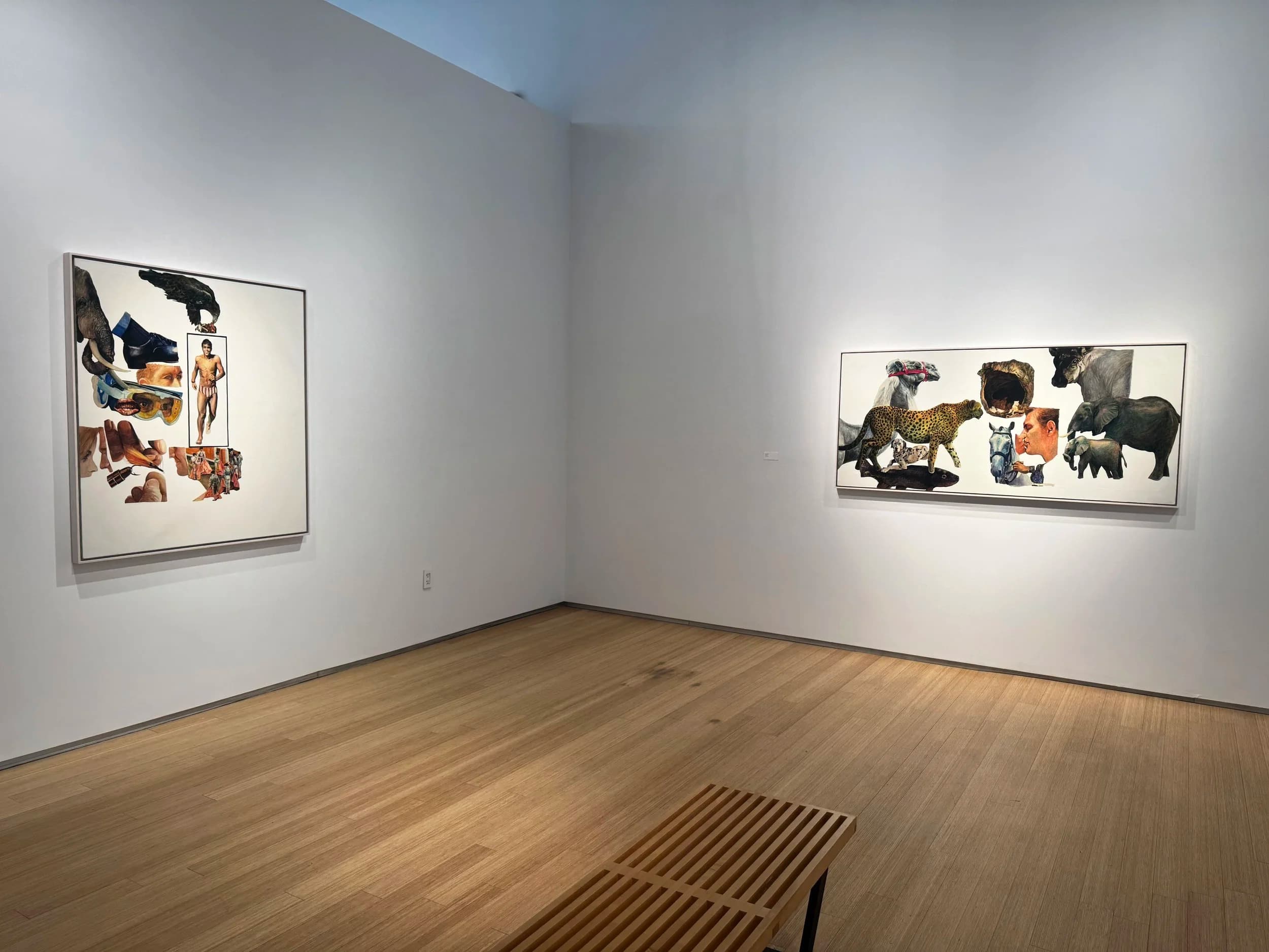 Installation view 14 of 15