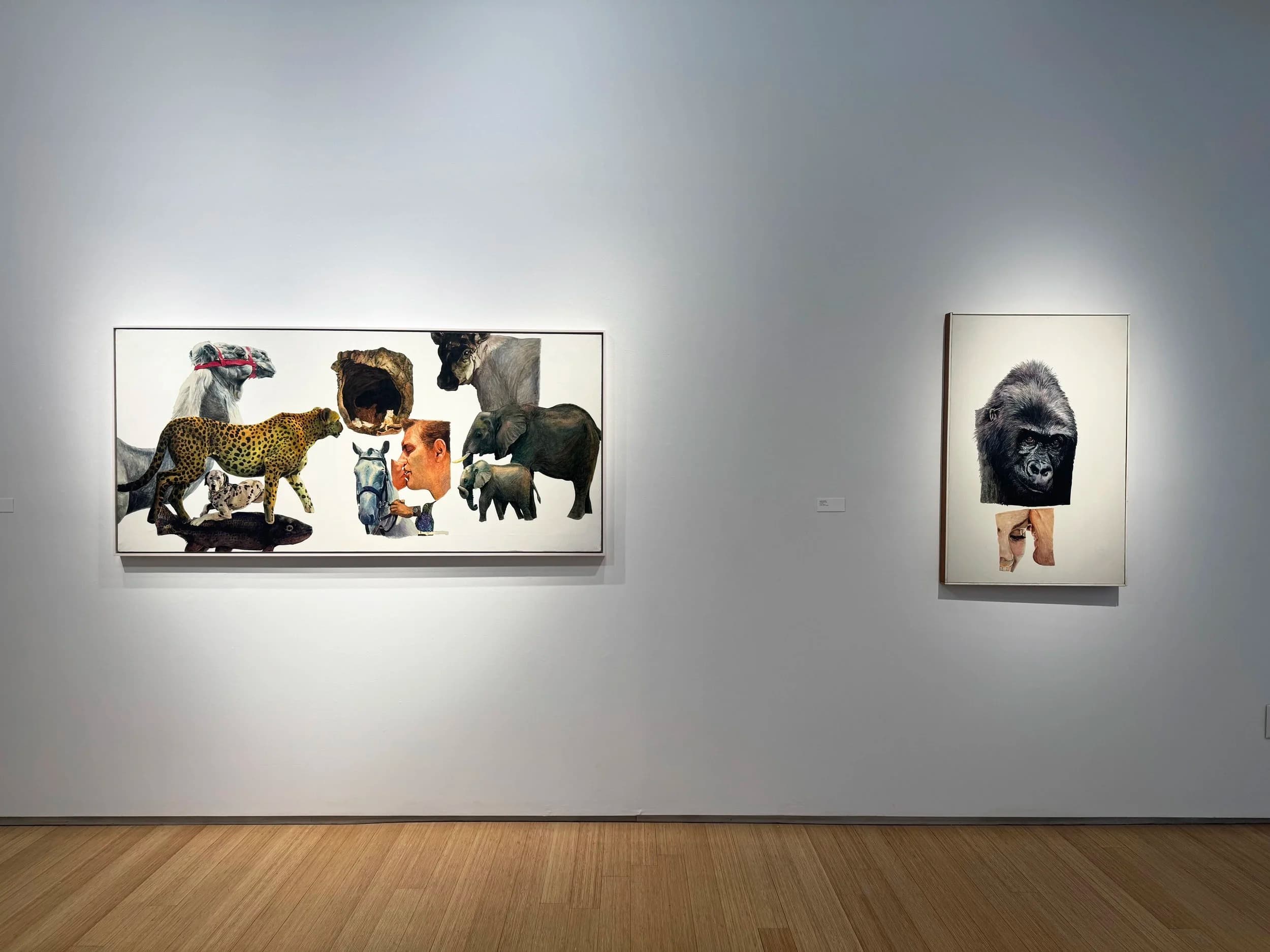 Installation view 13 of 15