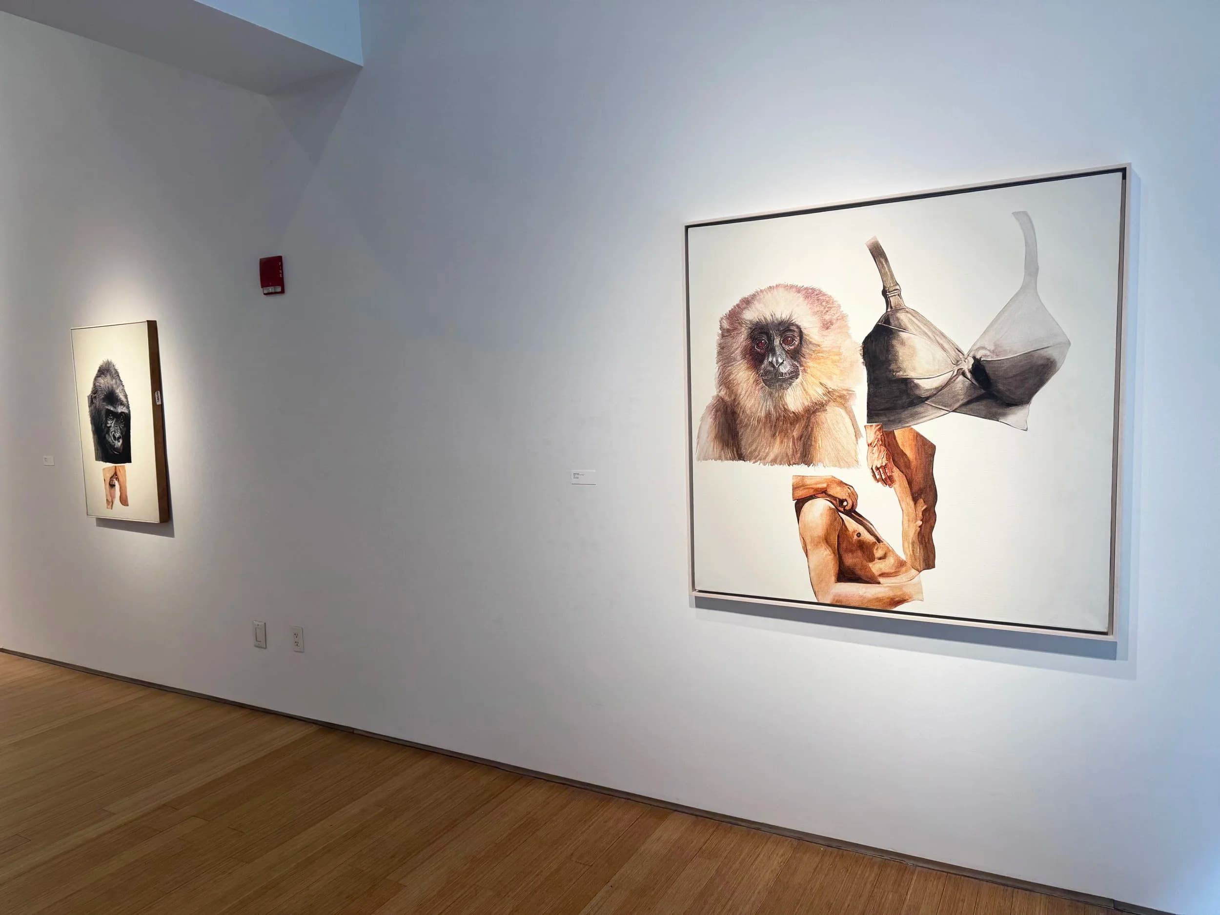 Installation view 8 of 15