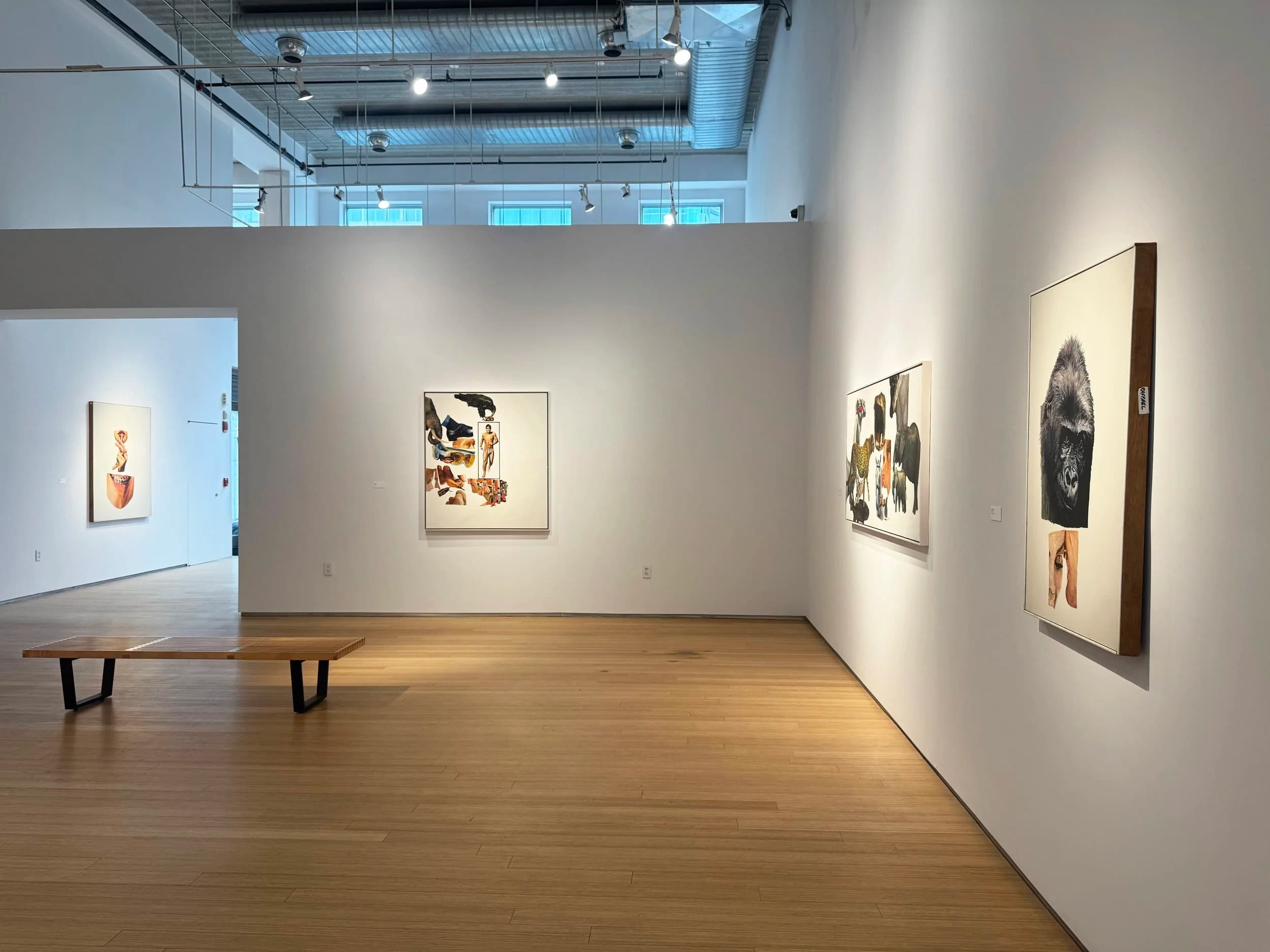 Installation view 7 of 15