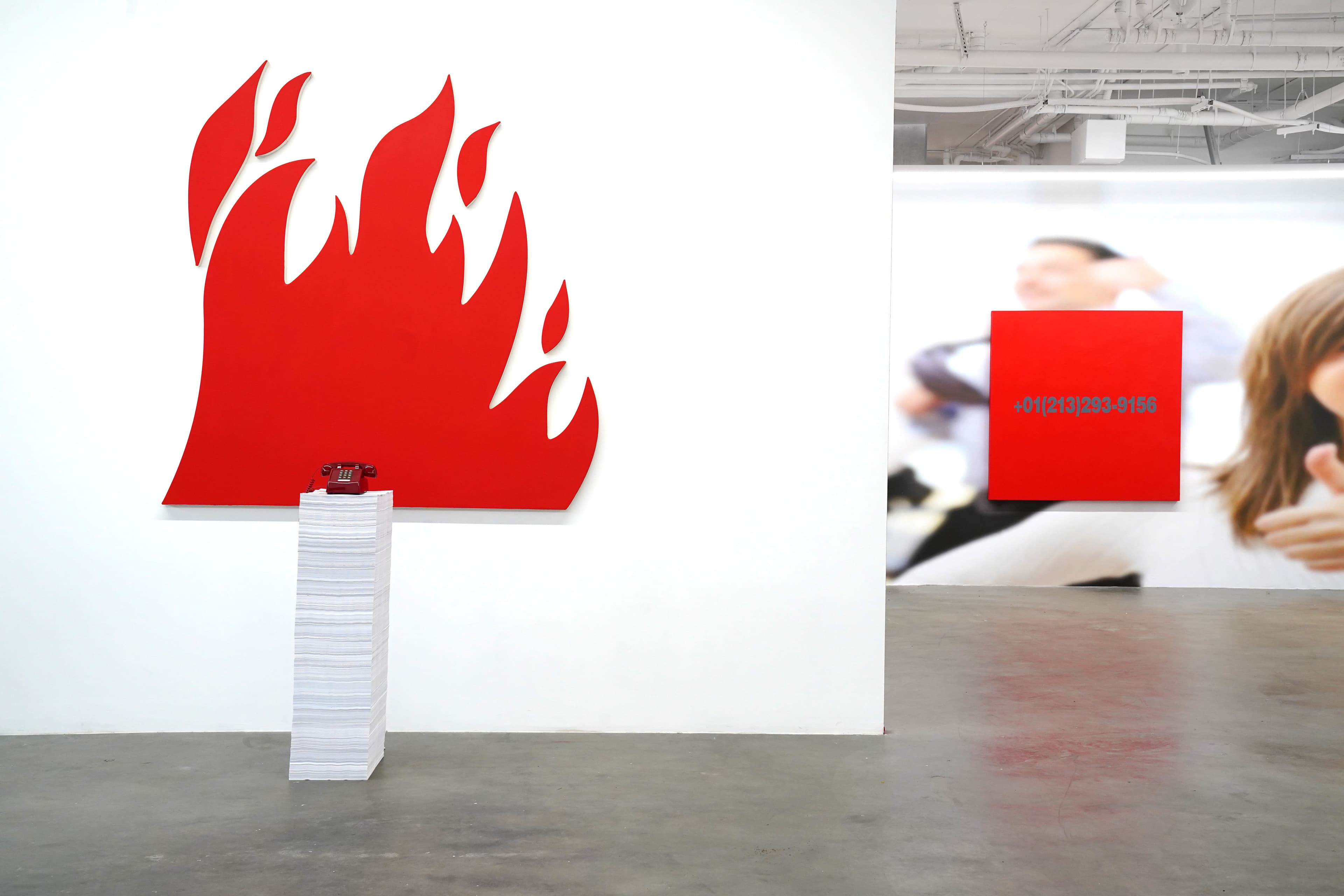 Installation view