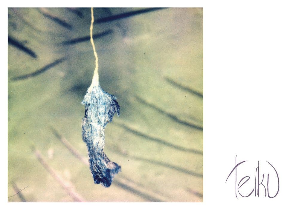 Teiku
