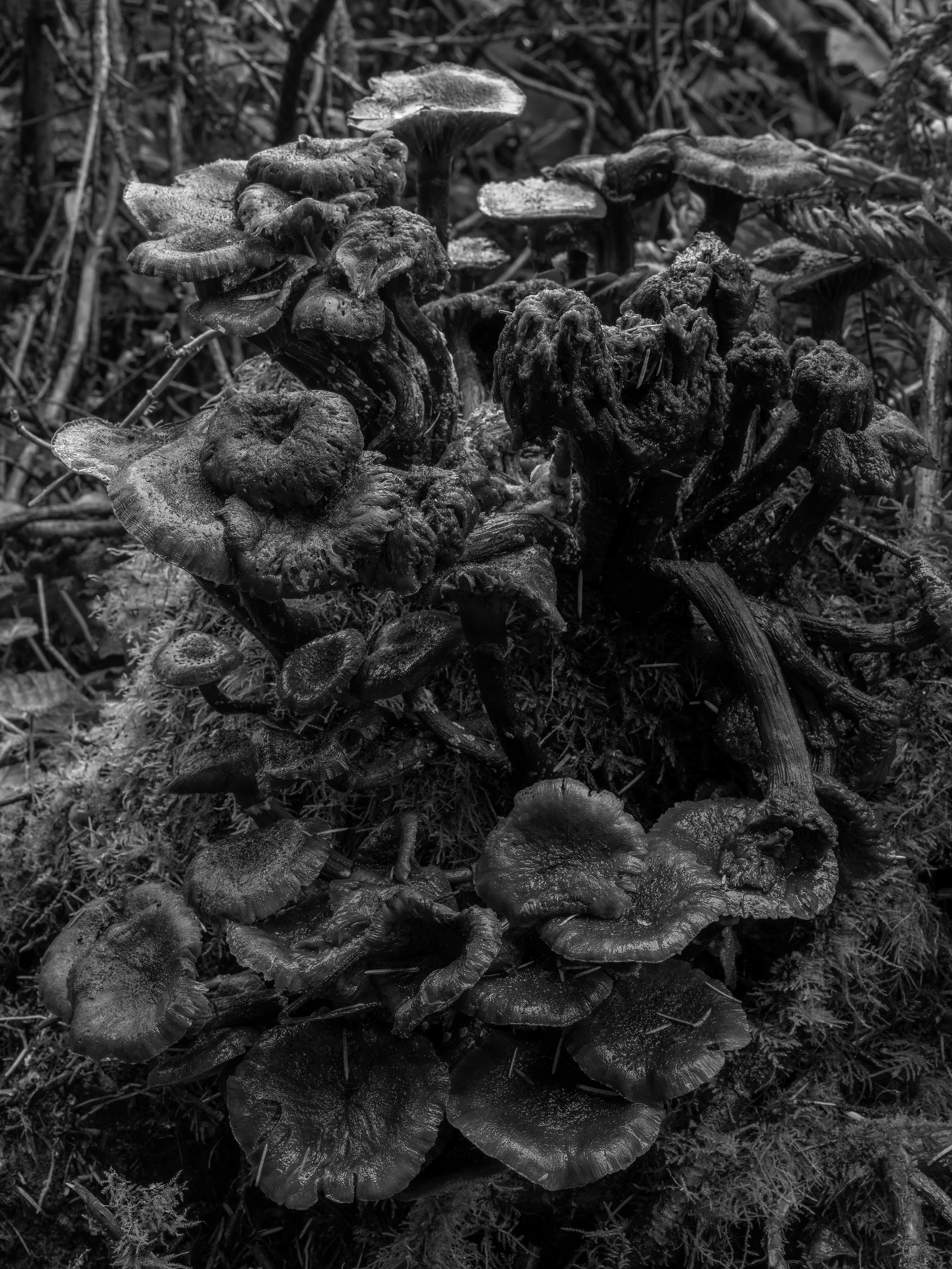 Low Tide