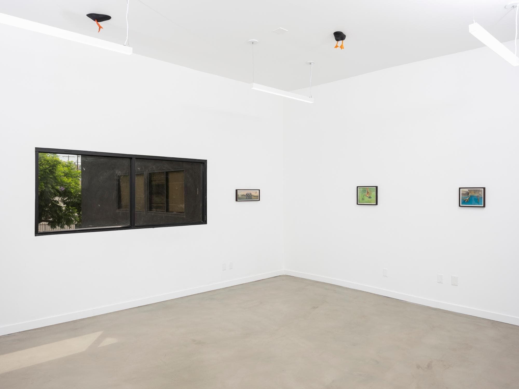 Installation view 4 of 5