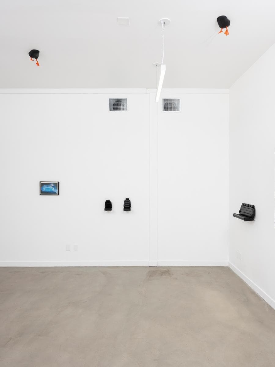 Installation view 5 of 5