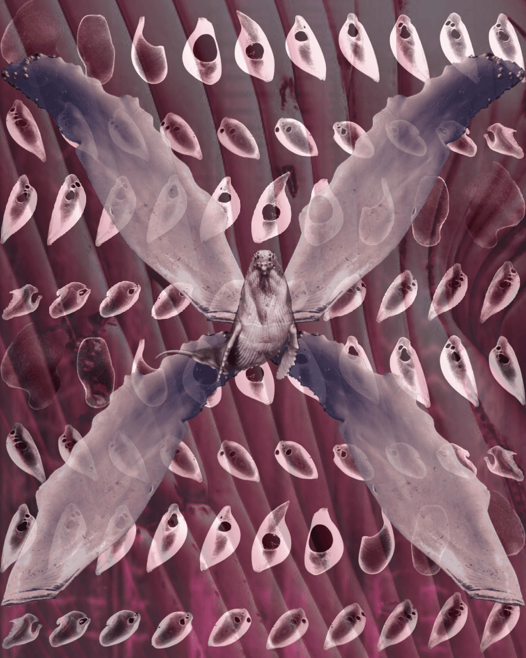 Lagrange Point