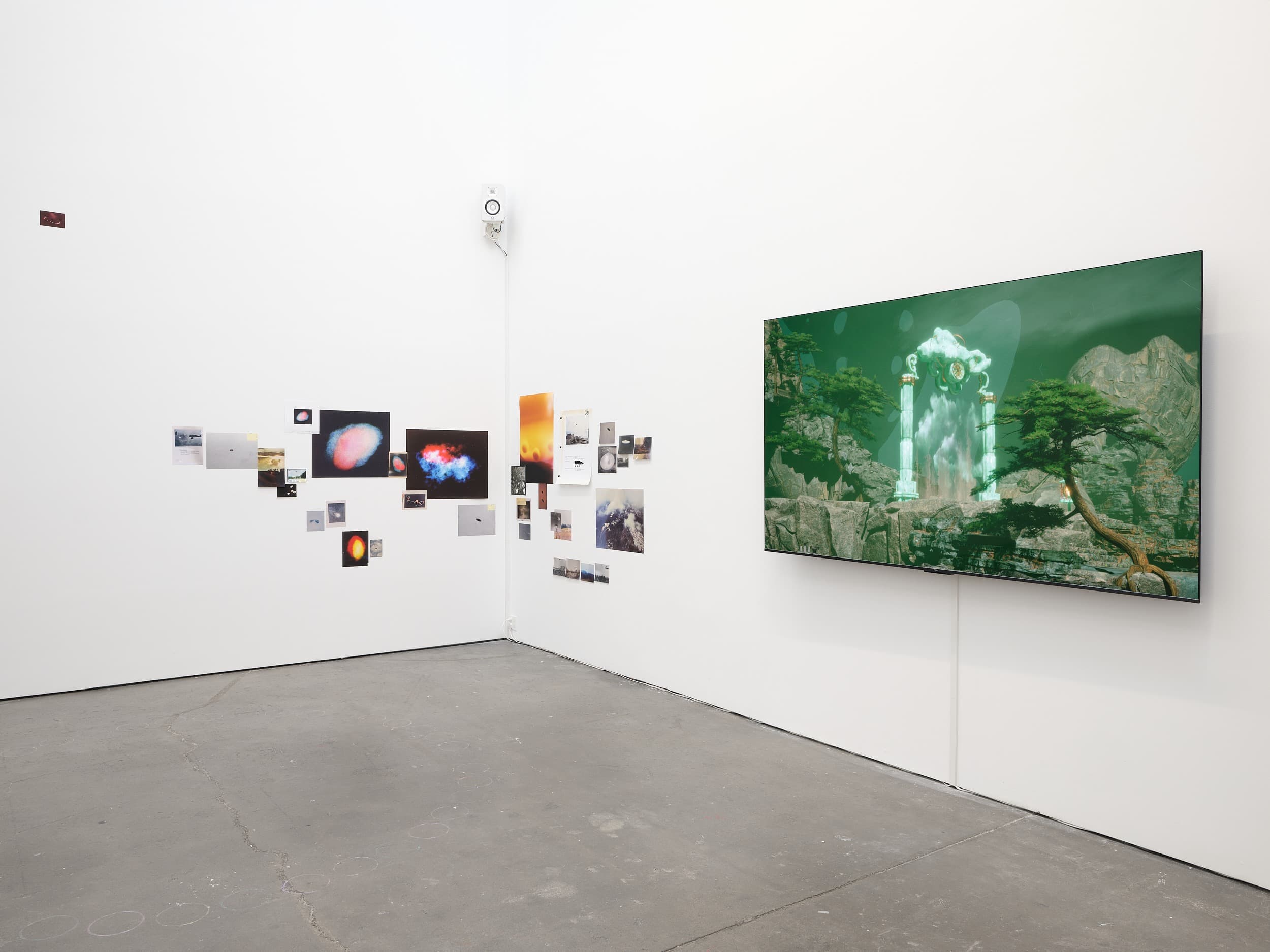 Installation view