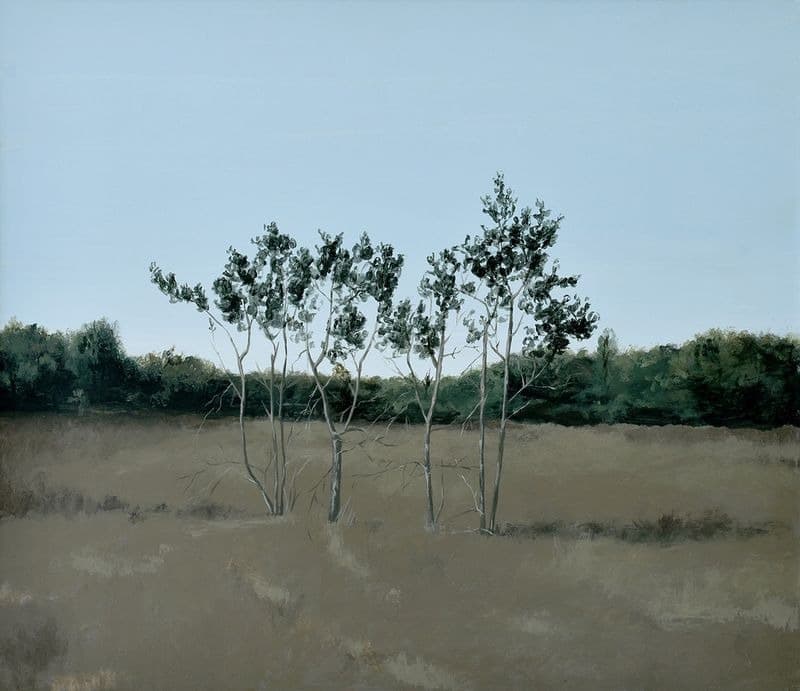 Landscapes