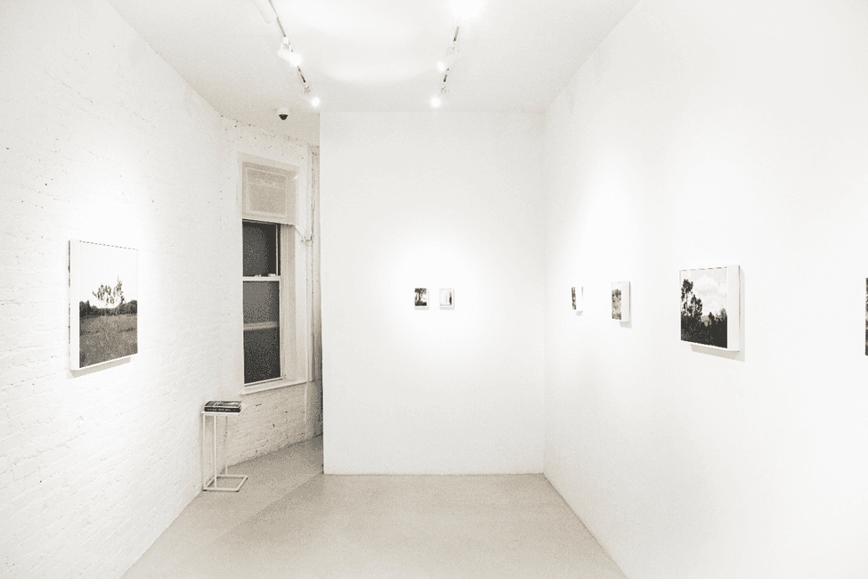 Installation view 2 of 3