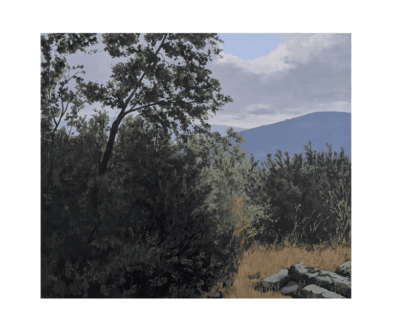 Landscapes