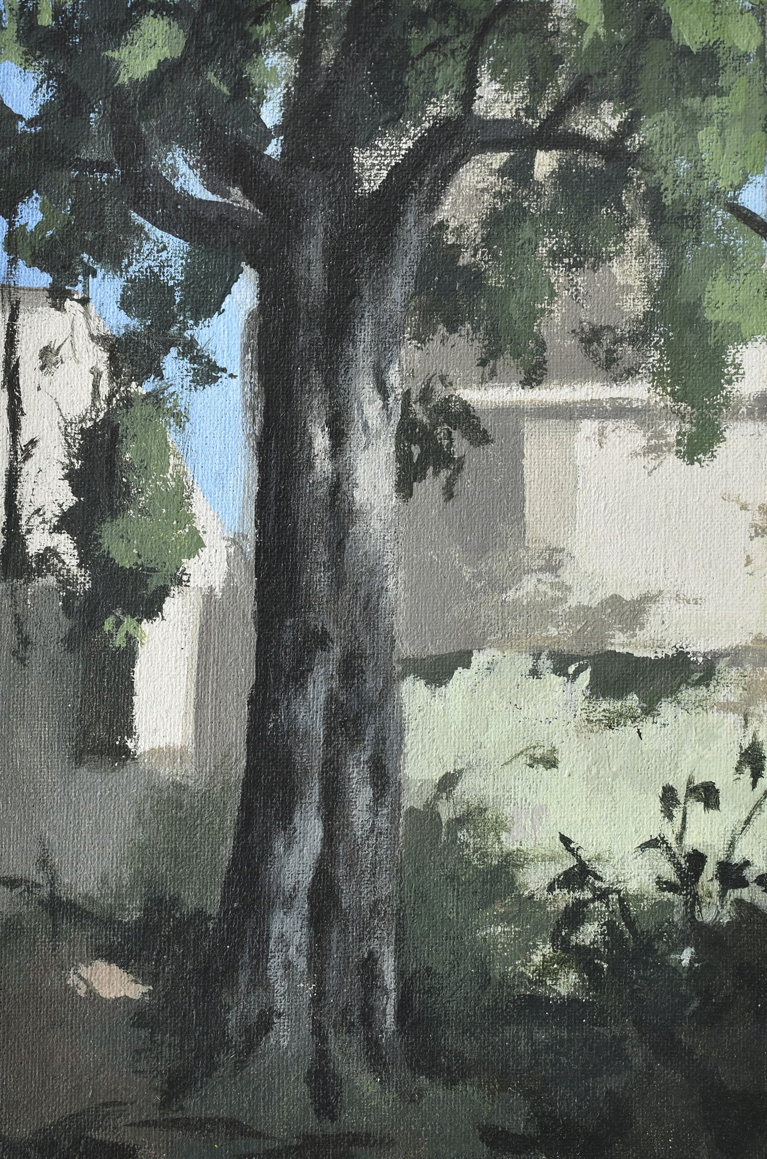 Landscapes