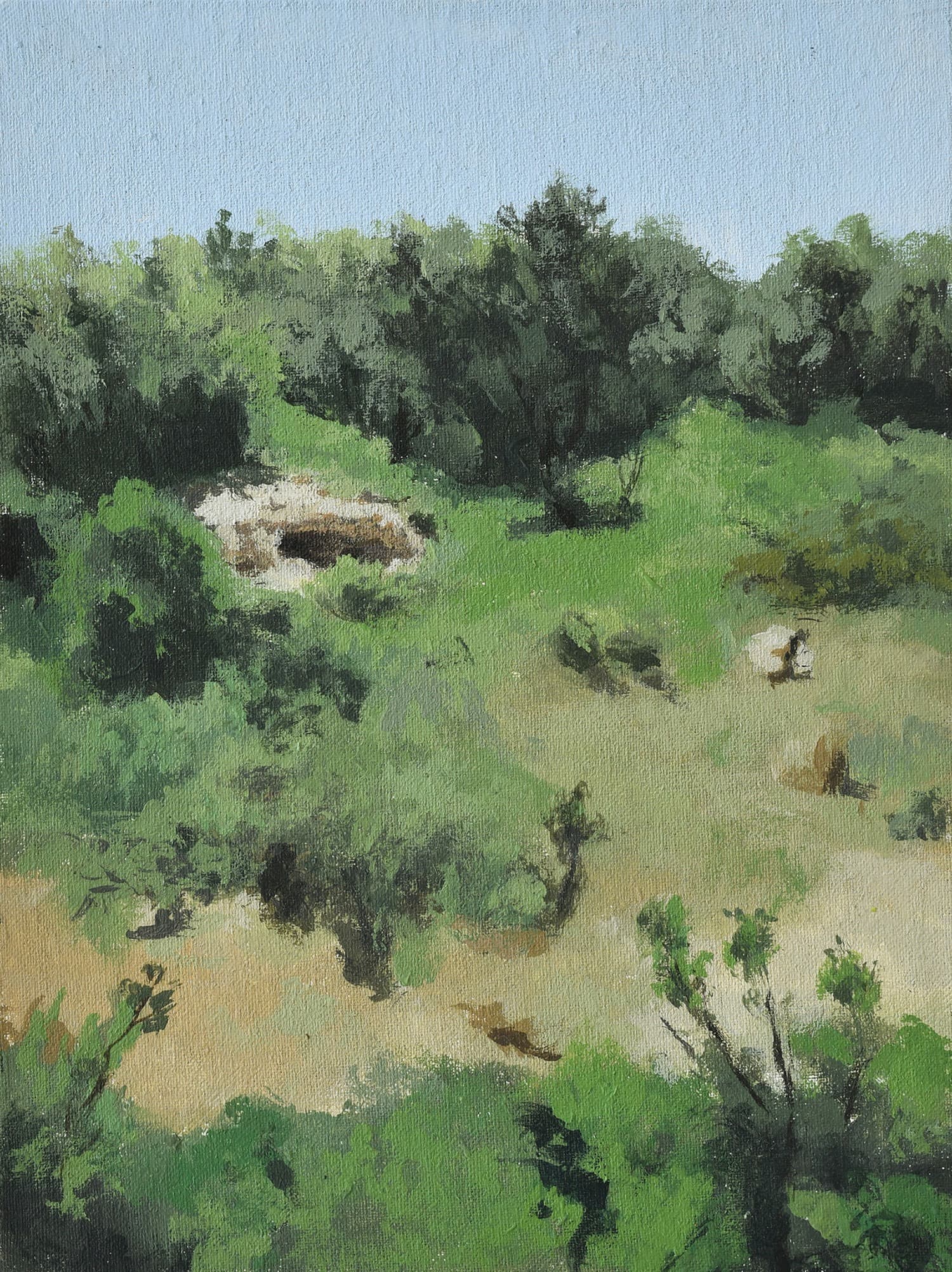 Landscapes