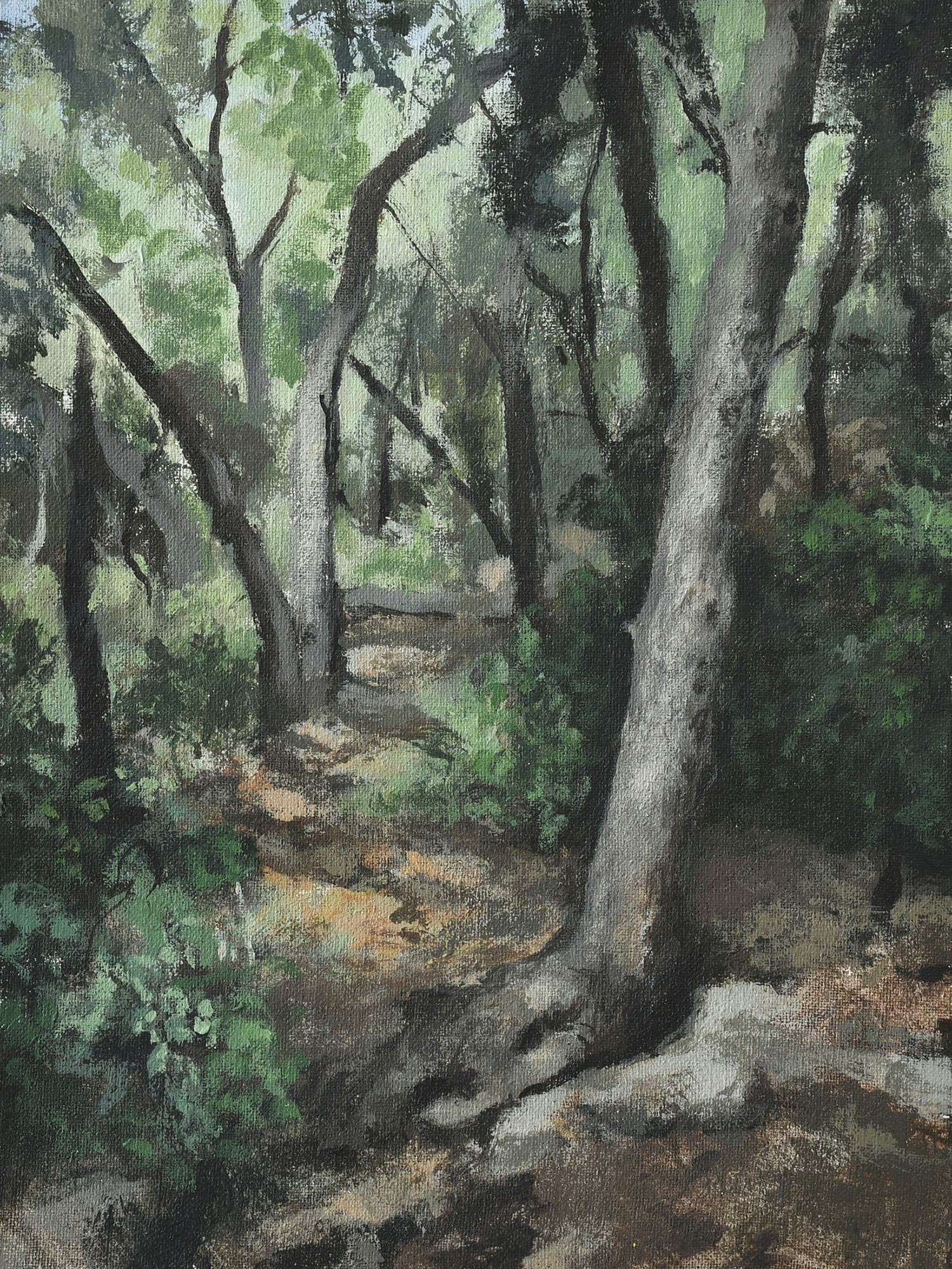 Landscapes