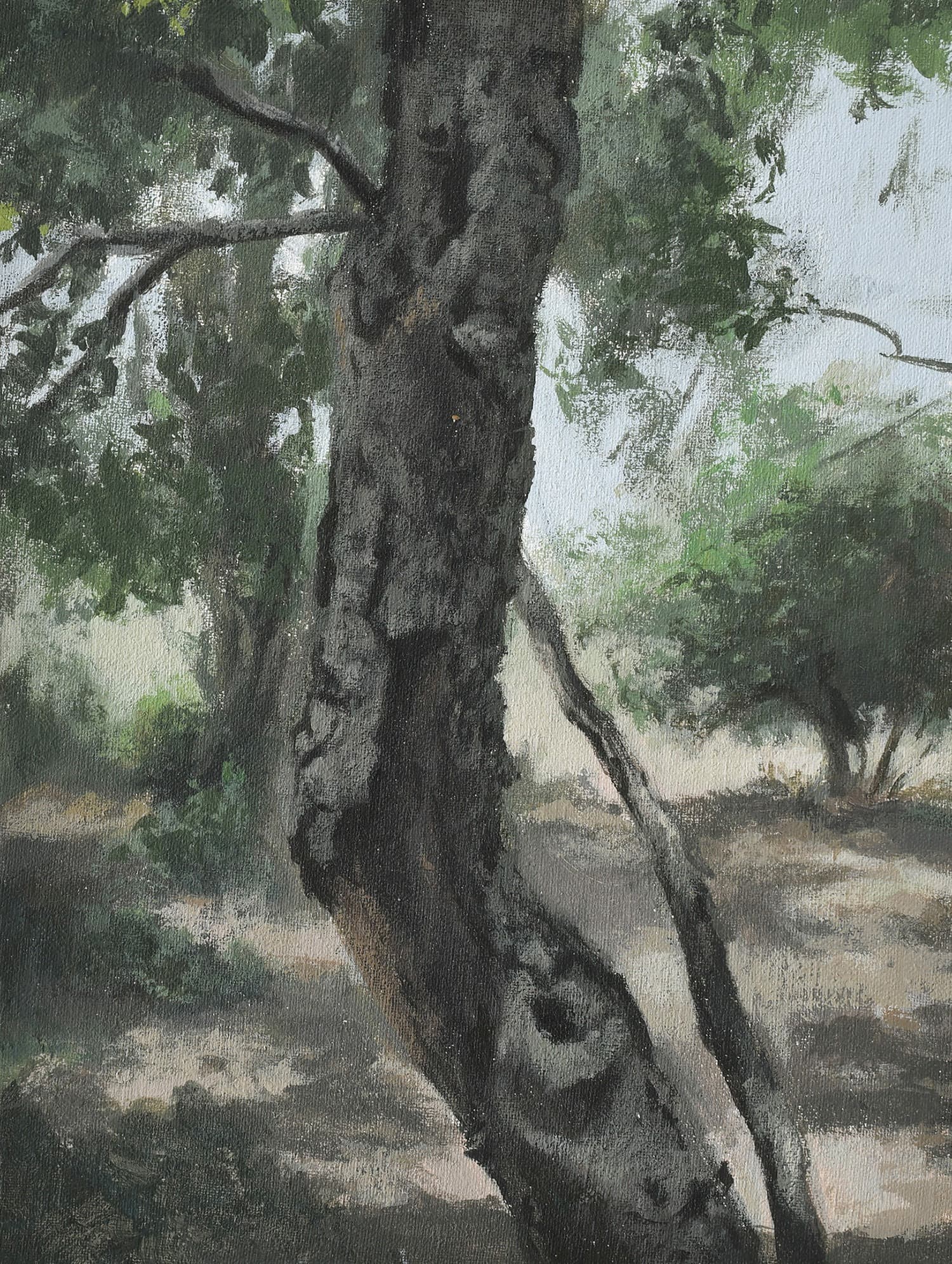 Landscapes