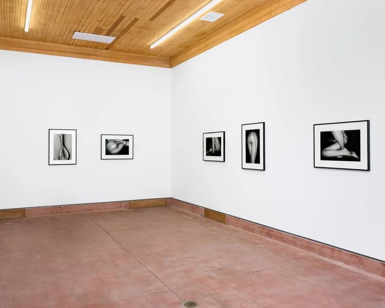 Installation view 2 of 7