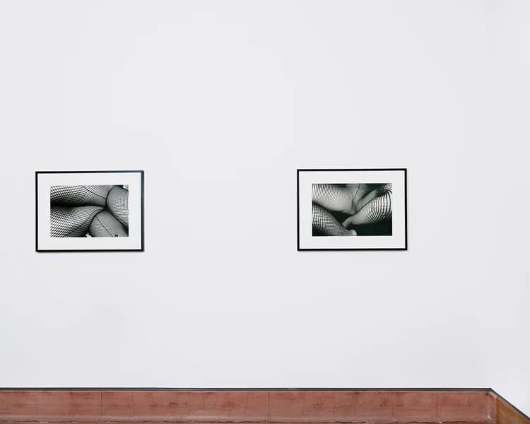 Installation view 3 of 7