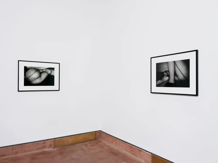 Installation view 5 of 7