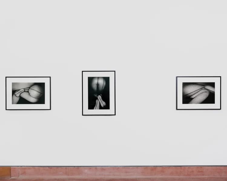 Installation view 6 of 7