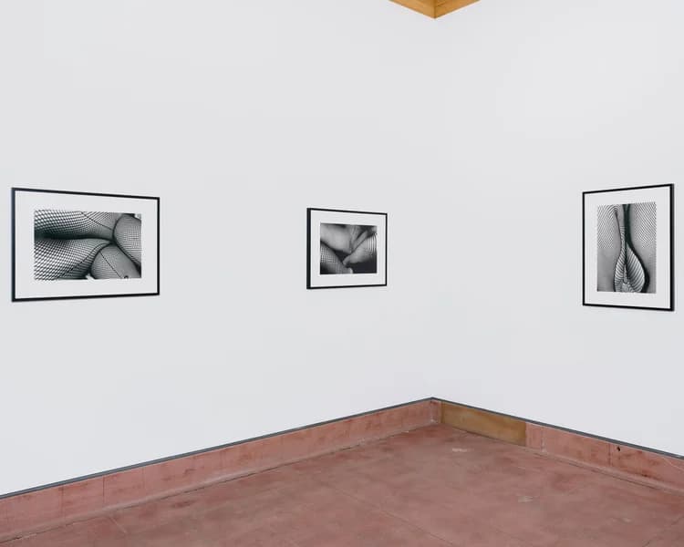 Installation view 4 of 7