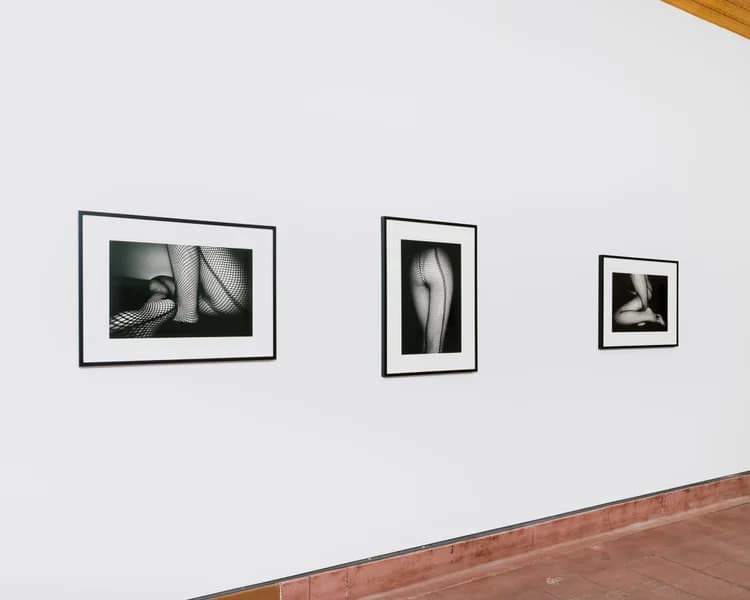 Installation view 1 of 7
