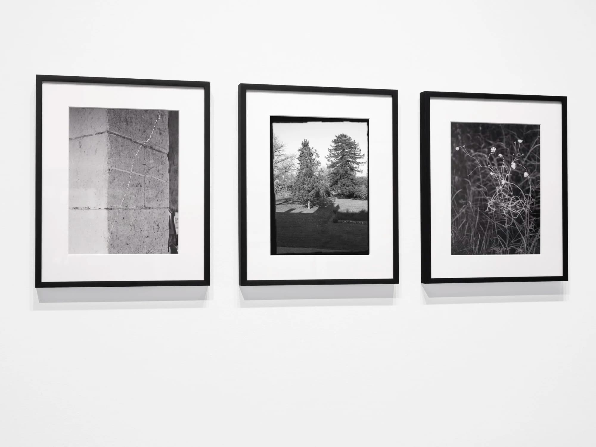 Installation view 2 of 4