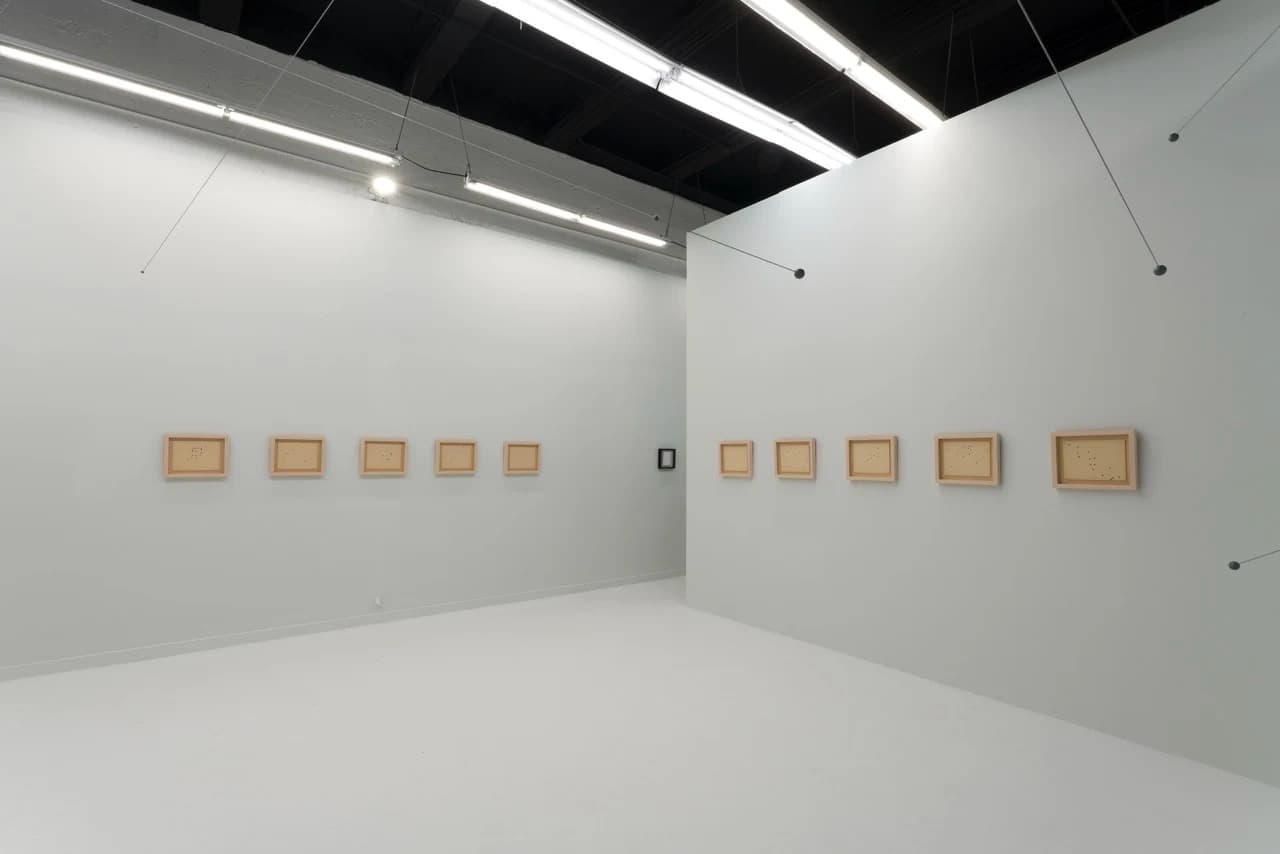 Installation view