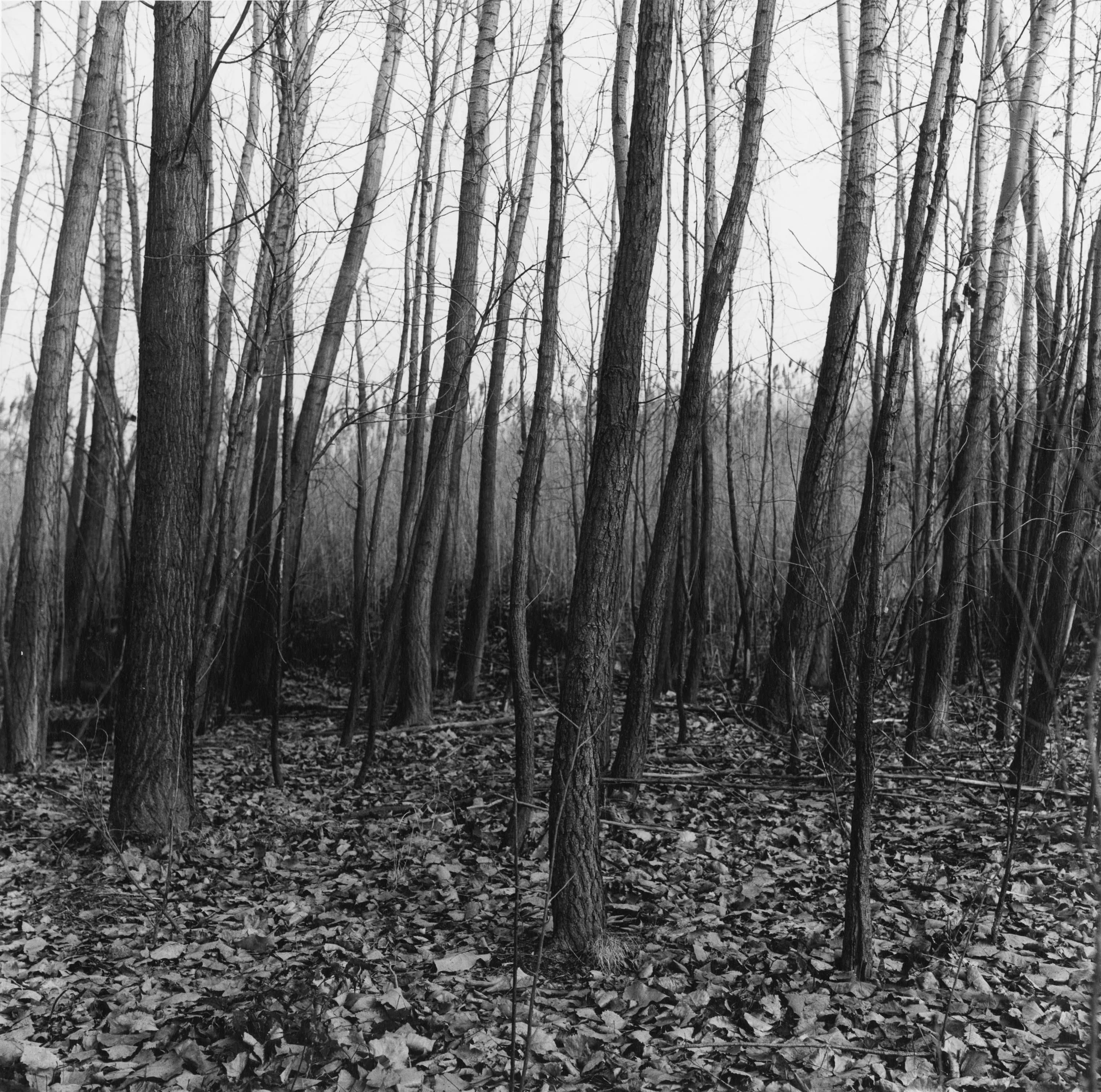 Peter Hujar: The Gracie Mansion Show Revisited