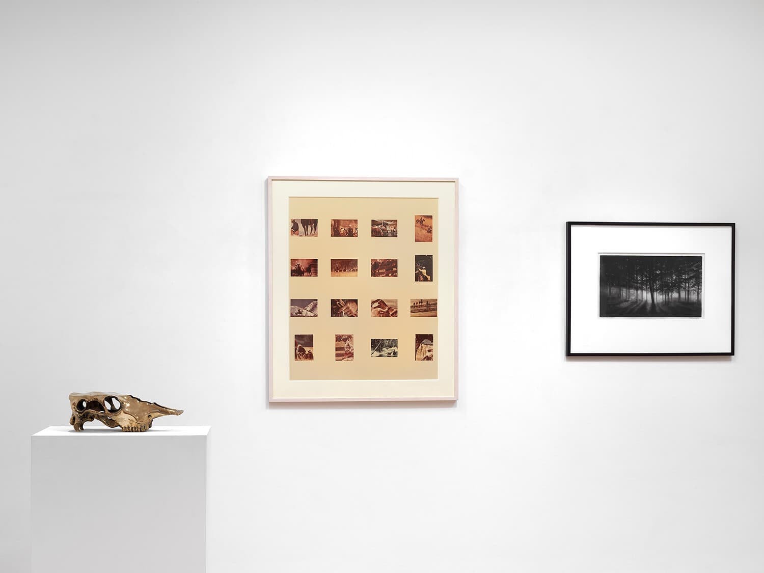 Installation view