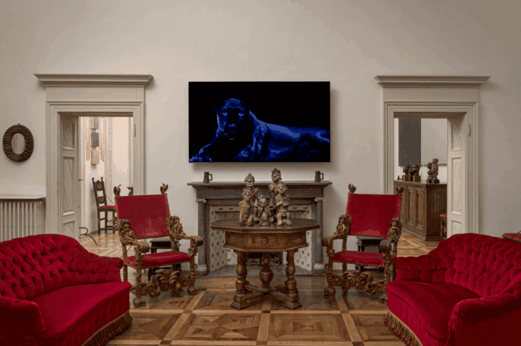 Installation view