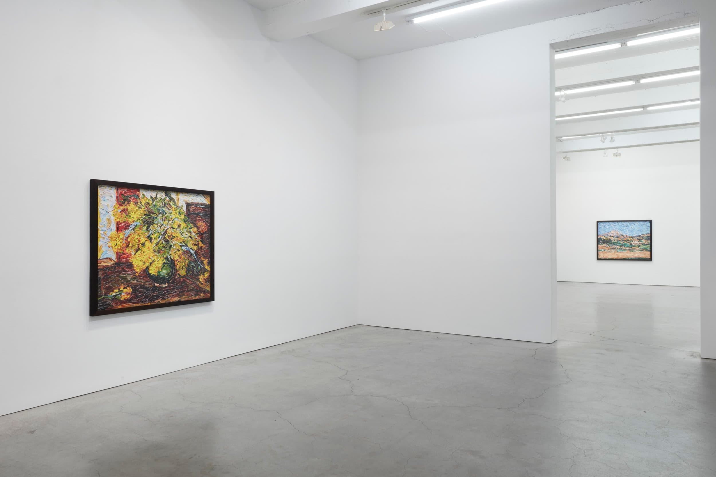 Installation view