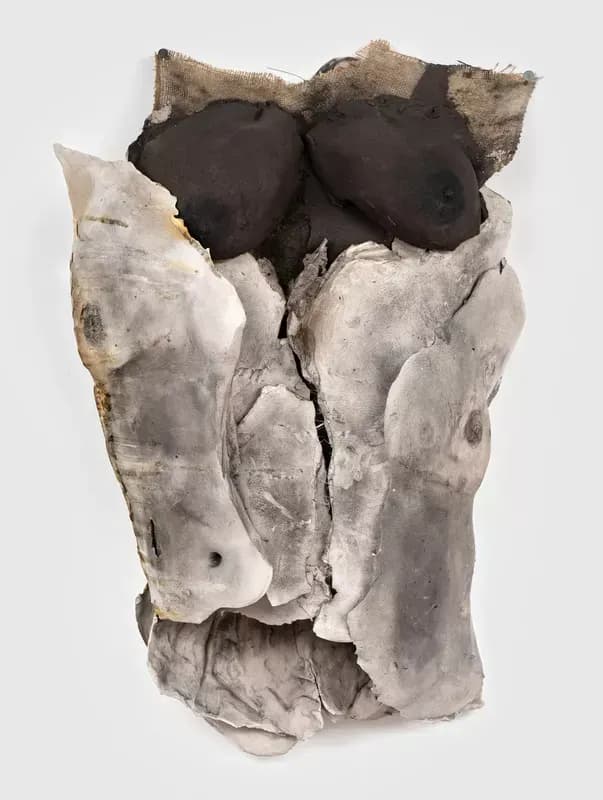 Second Body