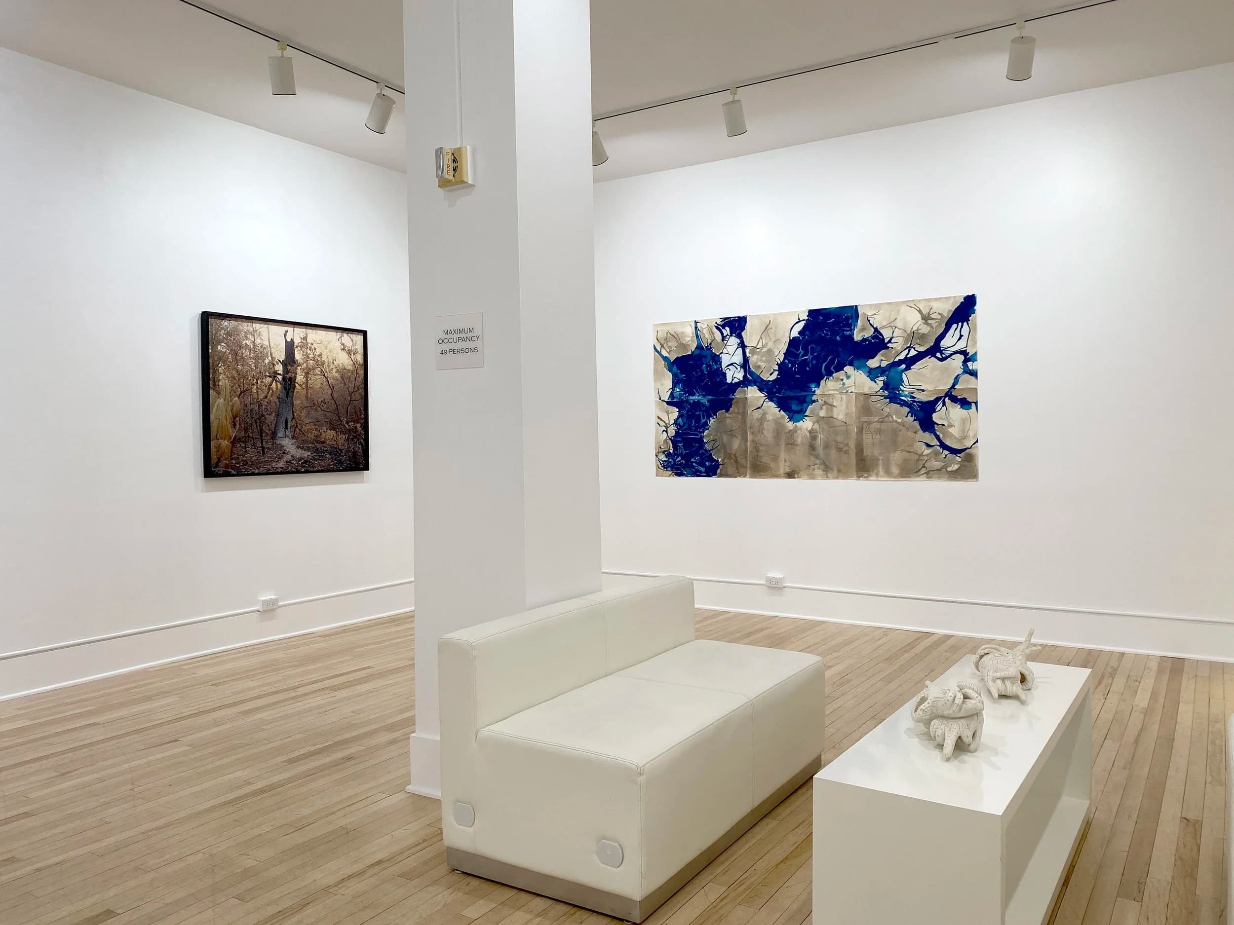 Installation view