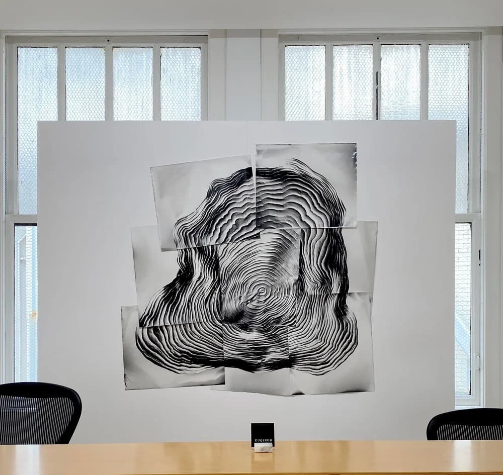 Installation view