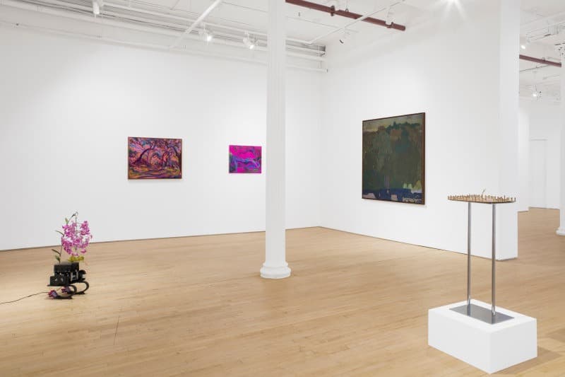 Installation view