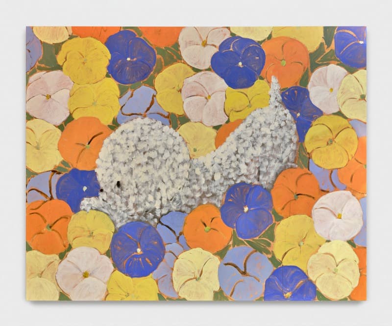 Superbloom