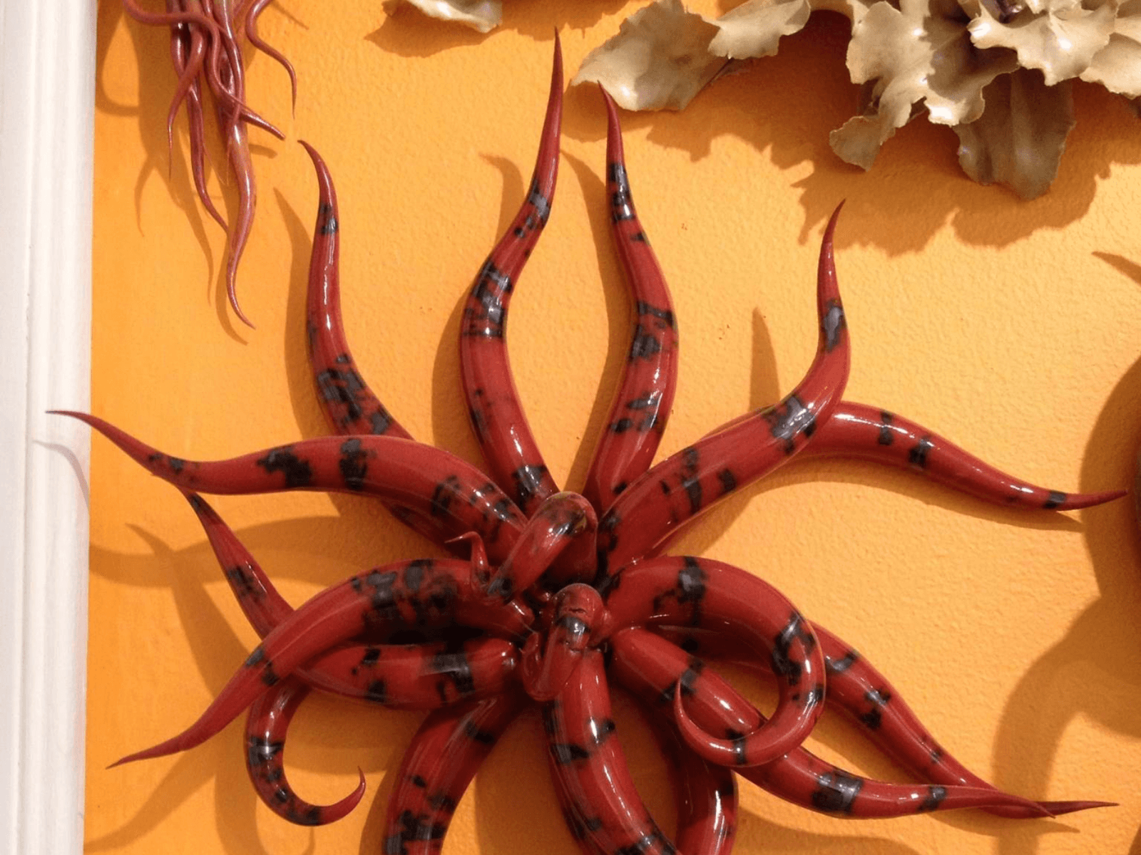 Christopher Adams: Biomorphic Moments