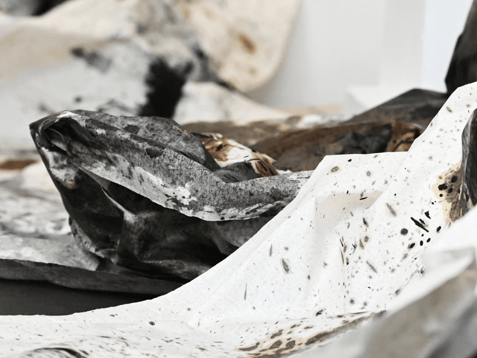 Strahil Petrovski: Reminiscences