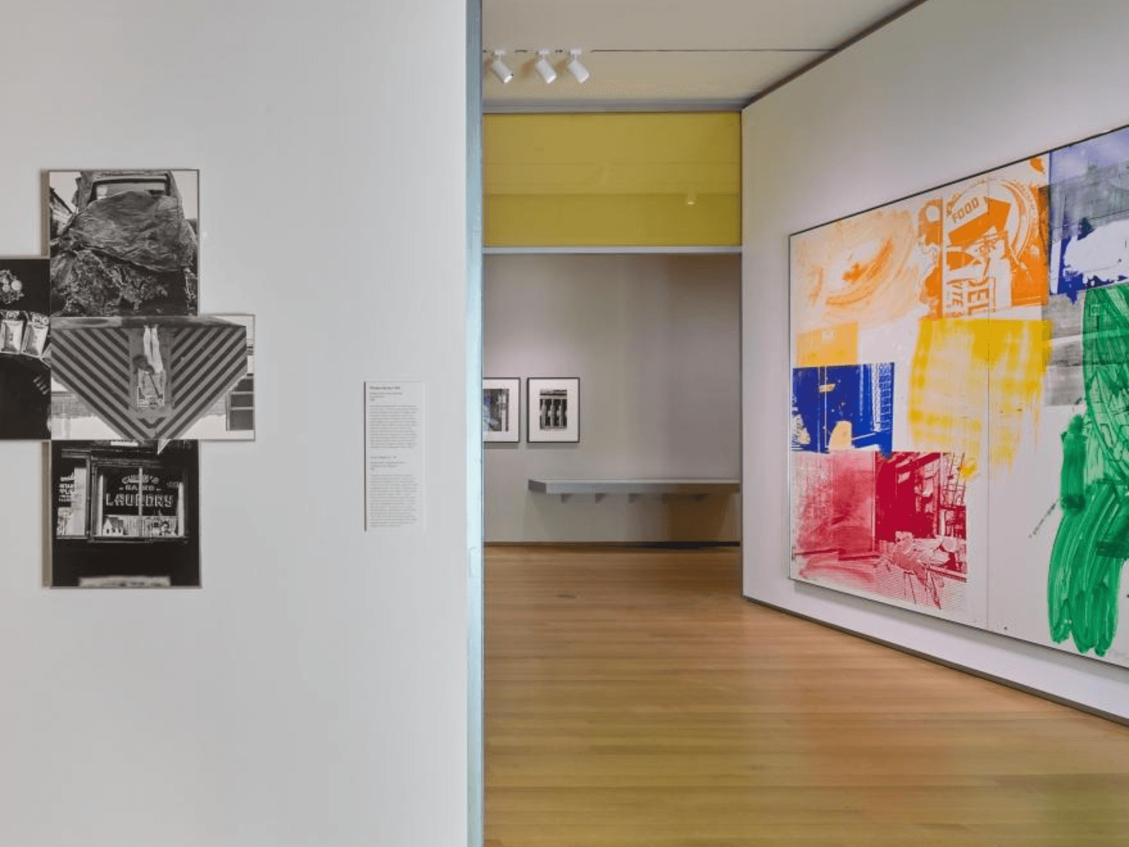 Robert Rauschenberg: Pictures from the Real World