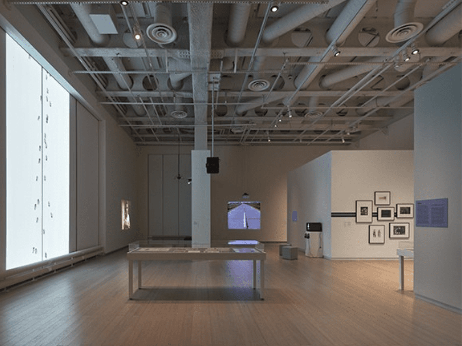 Lotty Rosenfeld: Disobedient Spaces