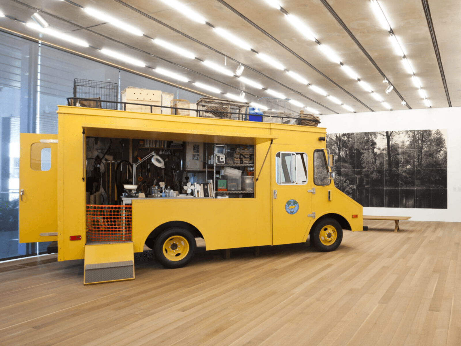 Installation view