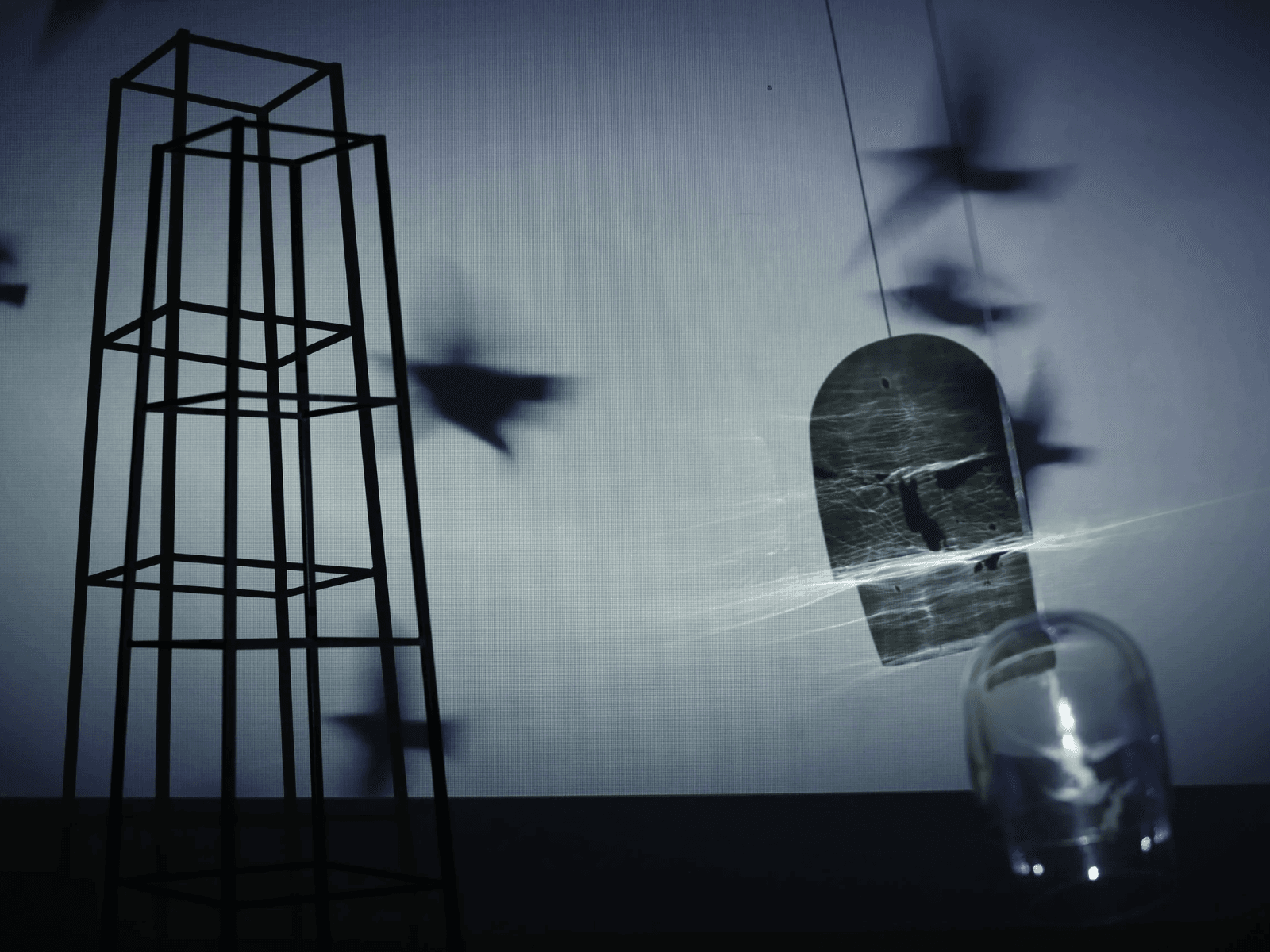 Alice Pixley Young: Still Life 