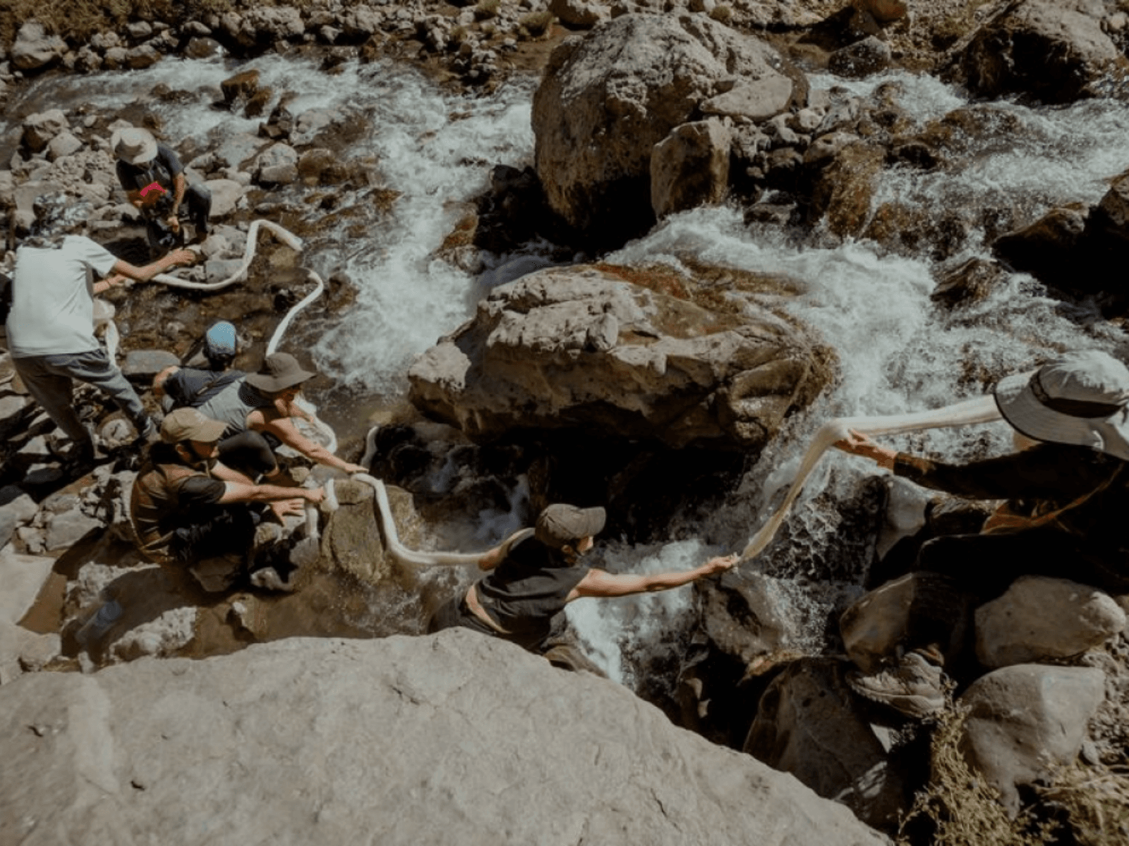 Cecilia Vicũna: Quipu of Encounters: The Dream of Water