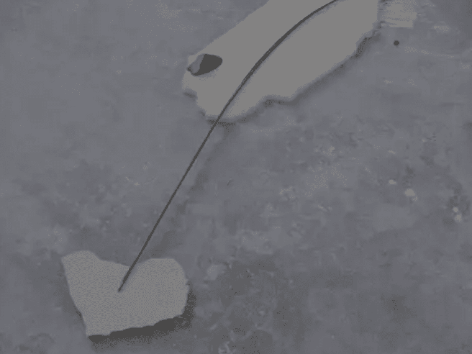 Quintin Atchison: John's Body