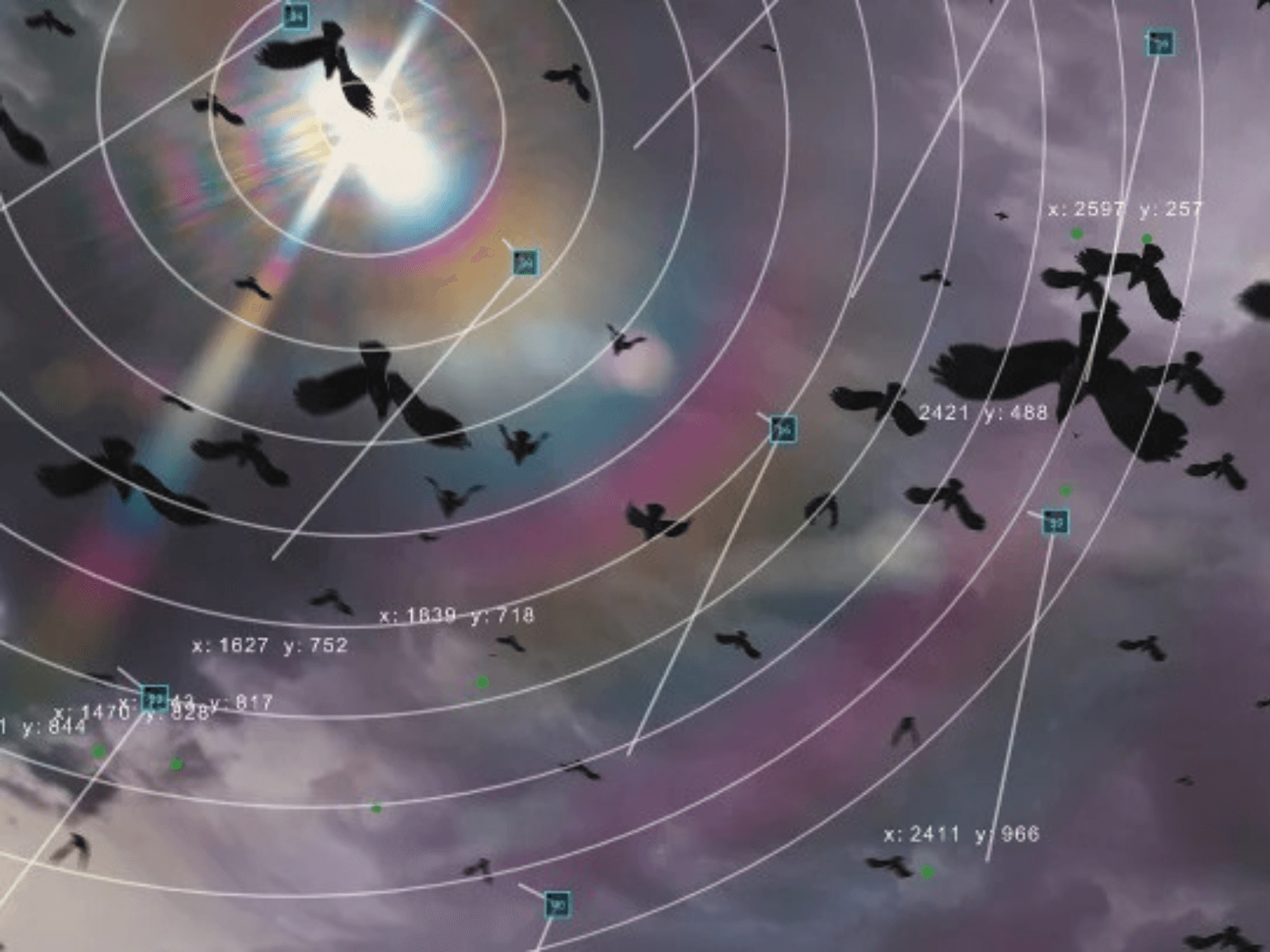 TRANSFER Download: AliveNET