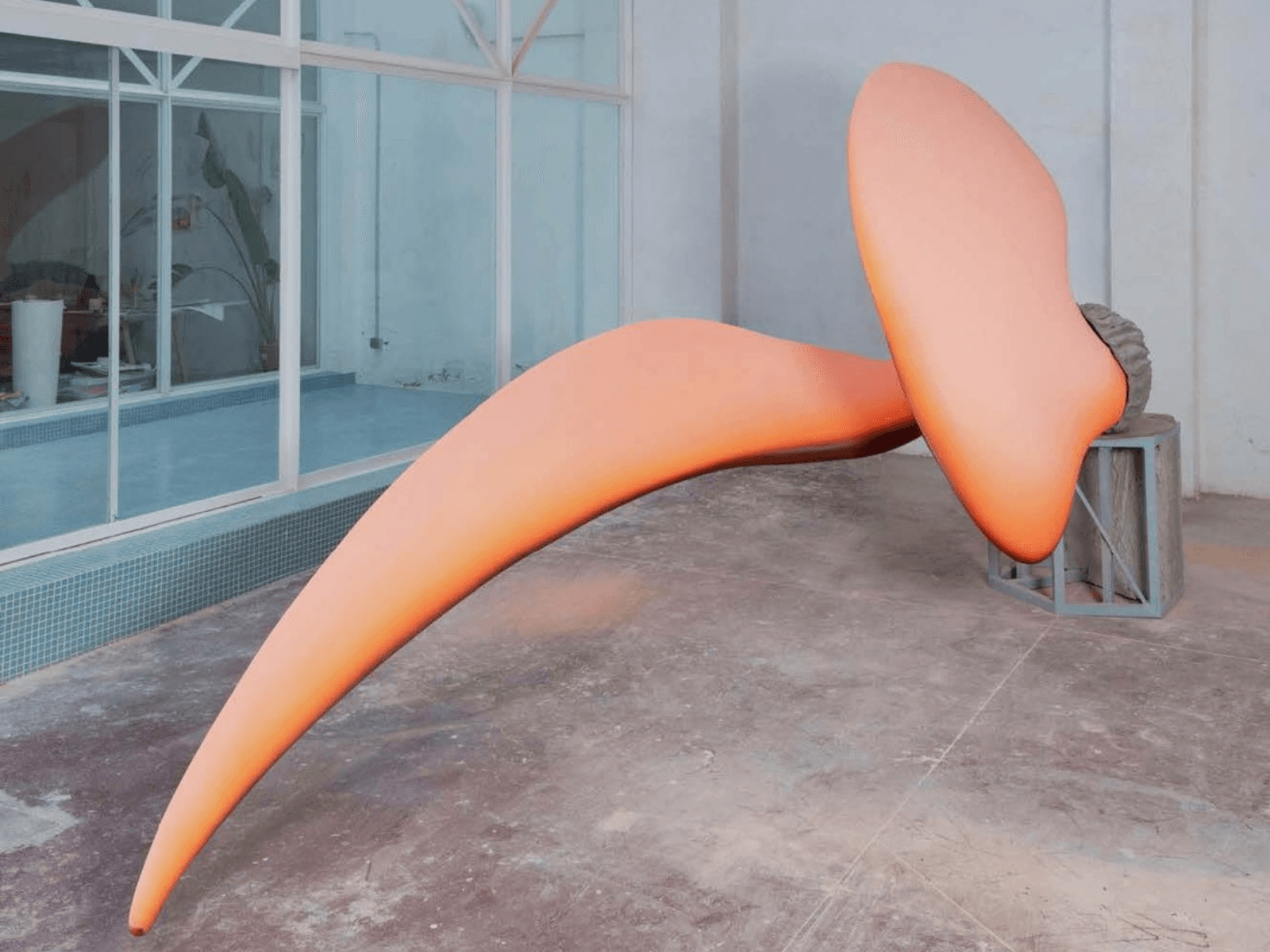 Teresa Solar Abboud: Night Crawler