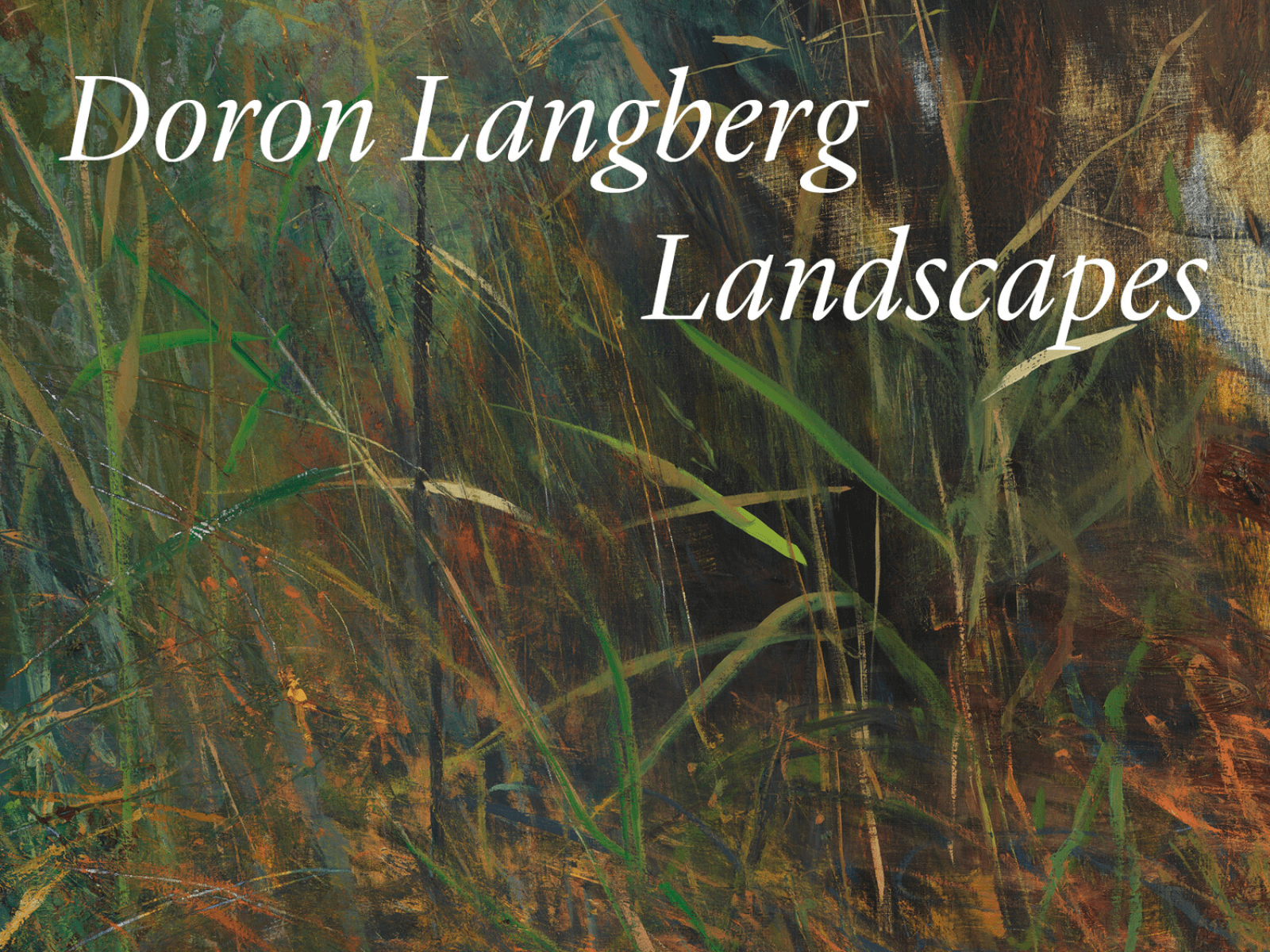 Doron Langberg: Landscapes