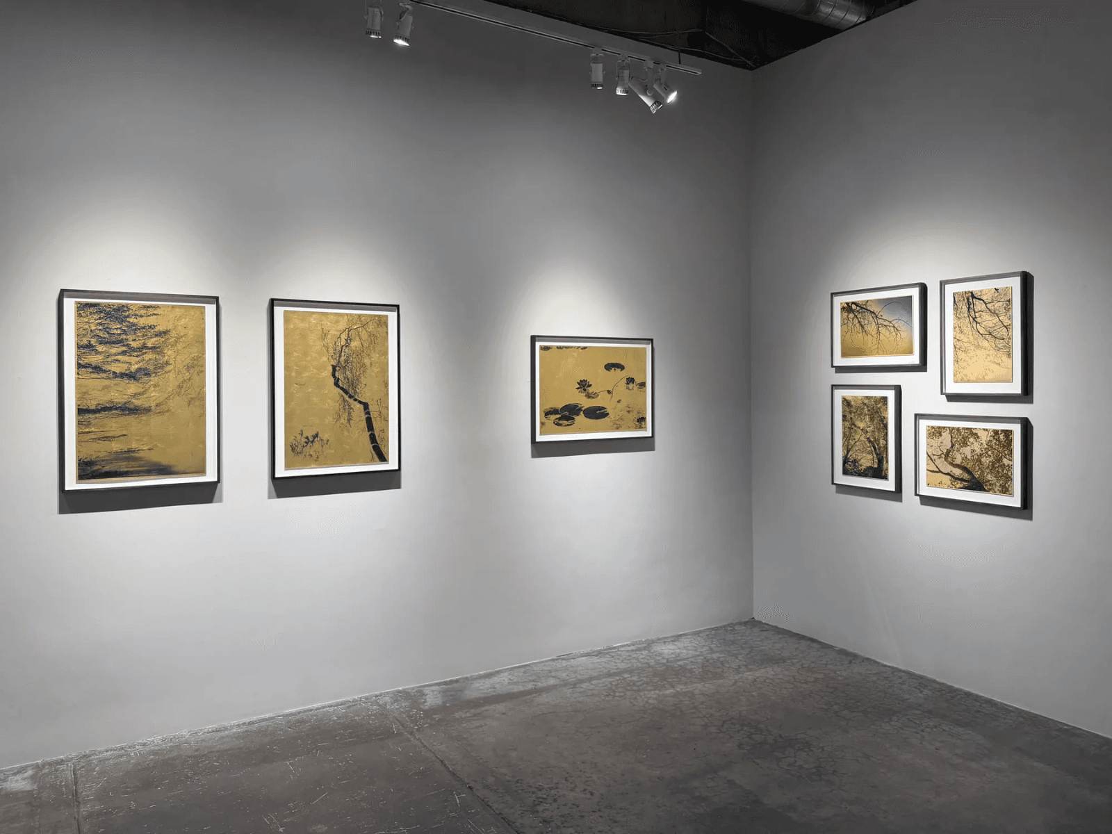 Installation view